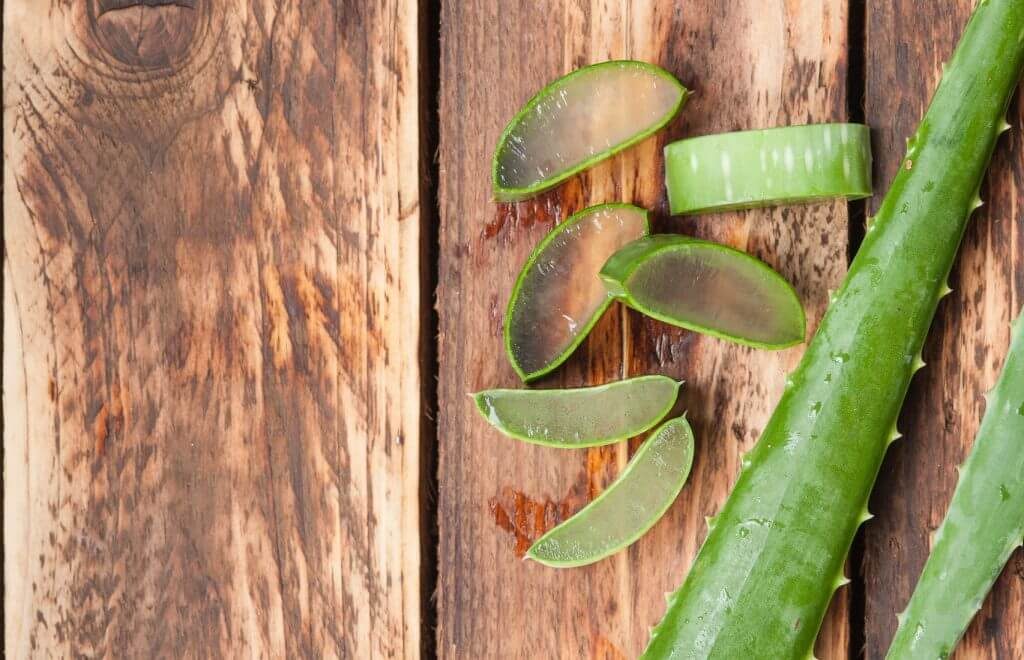 aloe facts | Beverly Hills MD